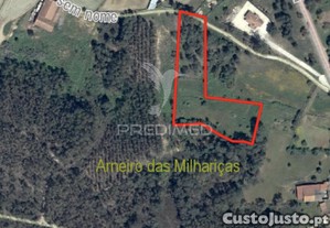 Terreno rústico com 5.160 m² arneiro das milhariças, santarém
