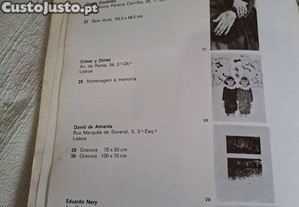 imagem_8