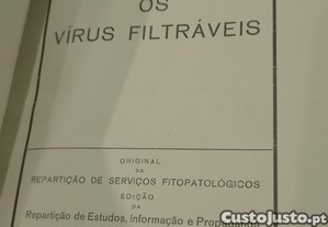 imagem_8