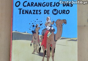 imagem_5