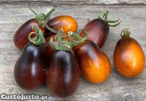 Tomate Pera Indigo - Solanum lycopersicum (20 Sementes)