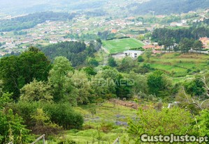imagem_35