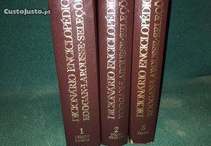 Coleção " Dicionário Enciclopédico Koogan- Larousse -Seleções