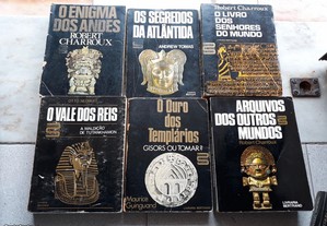 imagem_3