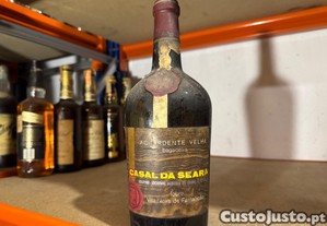 imagem_1