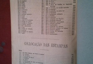 imagem_11