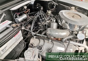 imagem_15