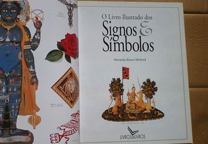 imagem_4
