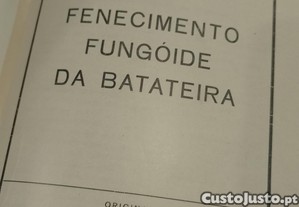 imagem_9