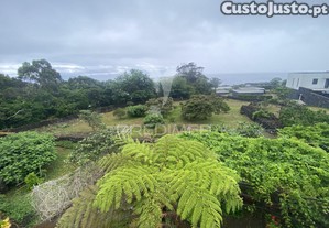 imagem_36