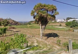 imagem_8