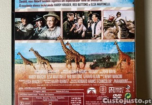 imagem_3