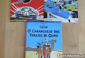 imagem_6