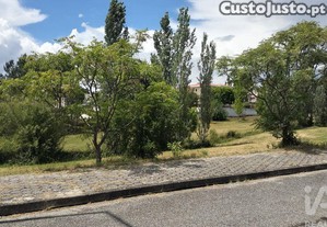 imagem_19