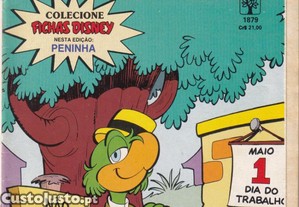 imagem_6