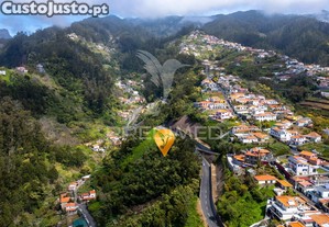 imagem_5