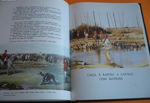 imagem_6
