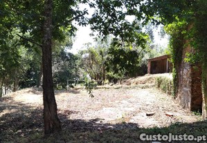 imagem_12