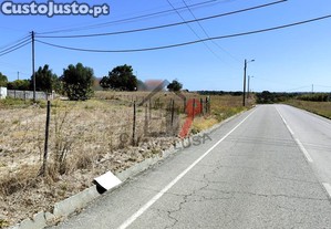 imagem_10