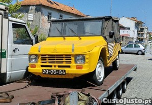 imagem_3