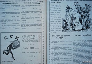 imagem_5