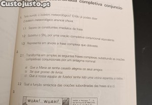 imagem_6