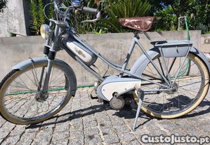 imagem_12