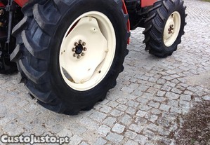 imagem_5