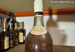 imagem_3