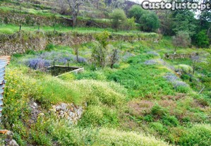imagem_13
