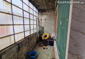 imagem_12
