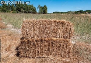 Fardos de Palha