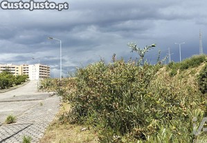 imagem_30