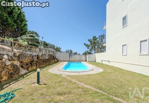 imagem_14