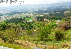 imagem_37