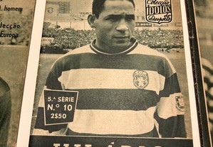 imagem_4