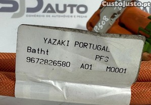 imagem_3