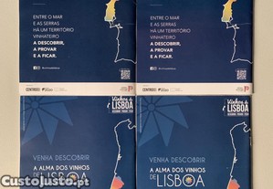 imagem_2