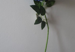 imagem_7
