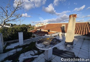 imagem_15