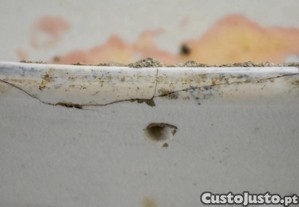 imagem_11