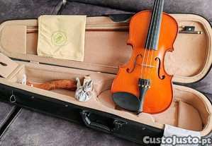 Violino inteiro 4/4 completo AJUSTADO