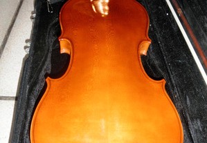imagem_5
