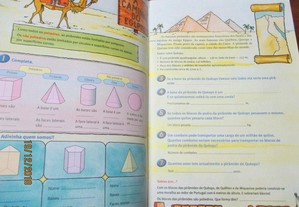 imagem_2