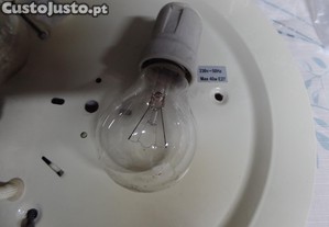 imagem_6