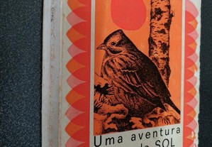 imagem_2