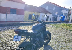 imagem_4