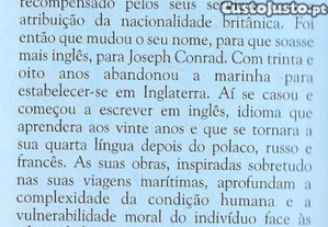 imagem_8
