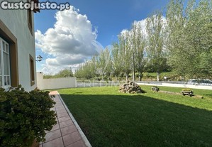 imagem_20