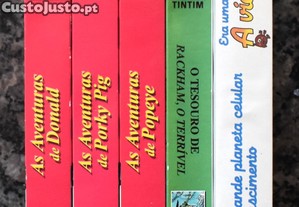 imagem_6